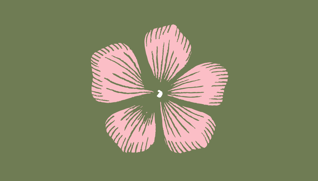 wizytowka decorela (2)